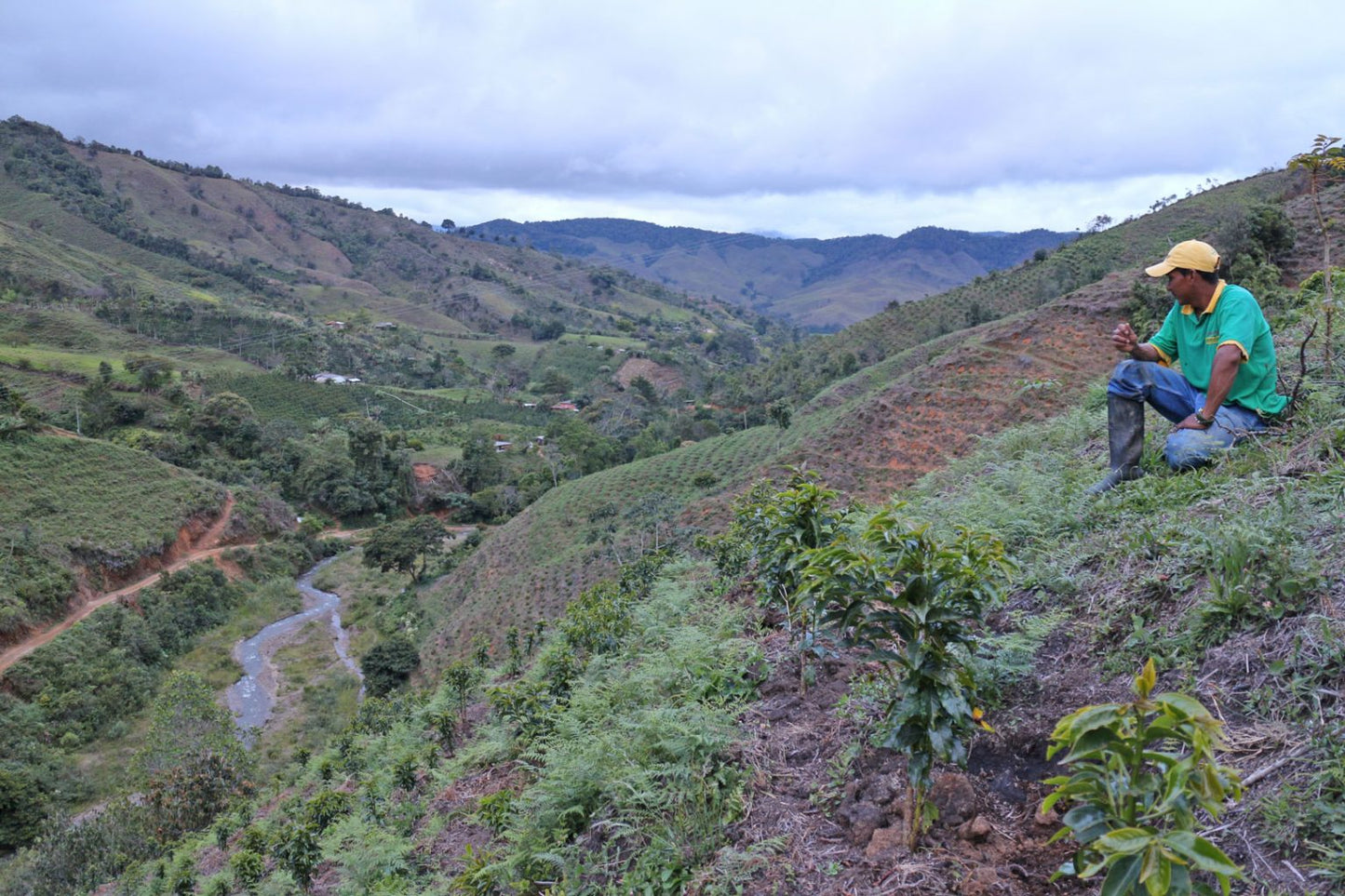 Jorge Hernando Cuellar - Single Origin - COLOMBIA