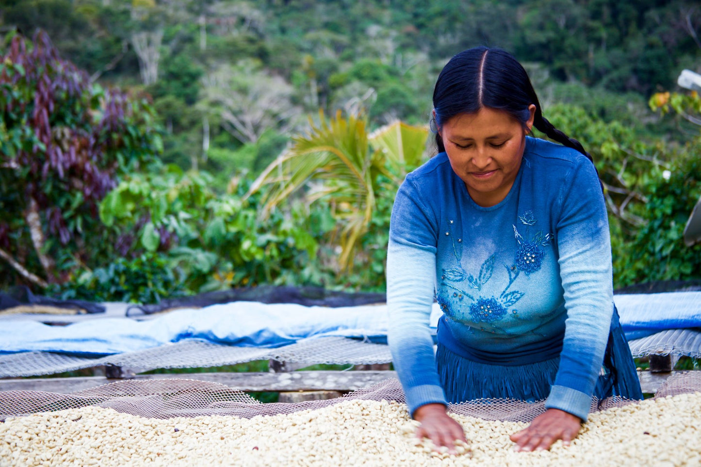 Juana Mamani - Single Origin - BOLIVIA